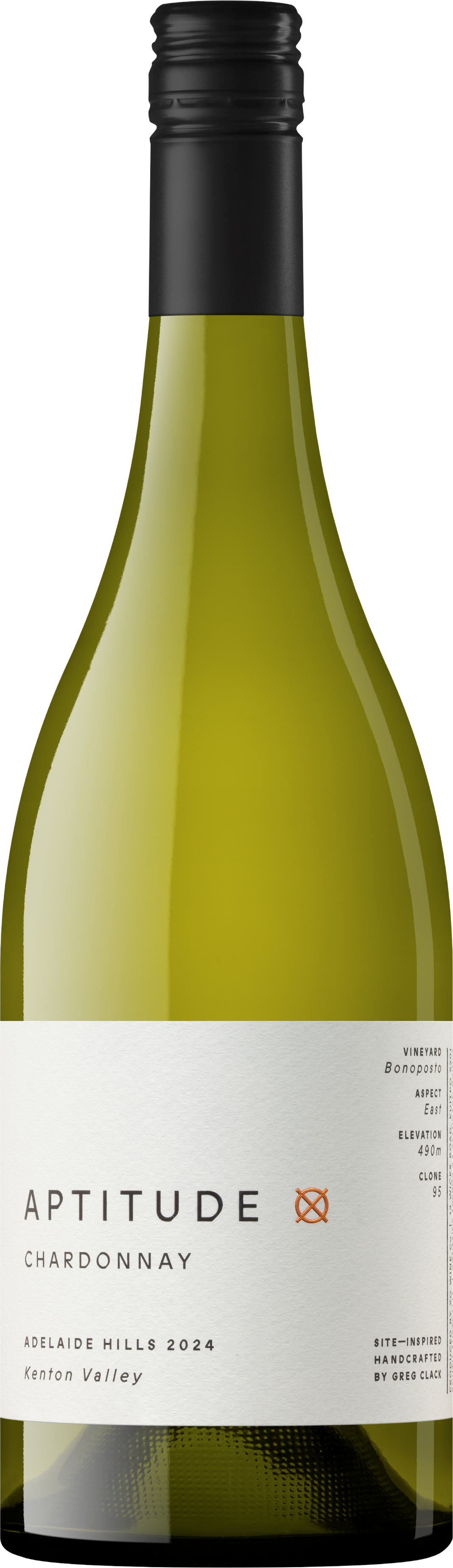 Aptitude Wine Chardonnay 2024